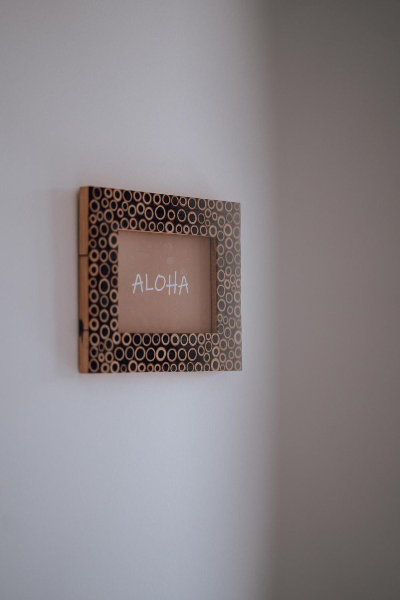 Biarritz Surf Lodge Chambre D'Hotes エクステリア 写真