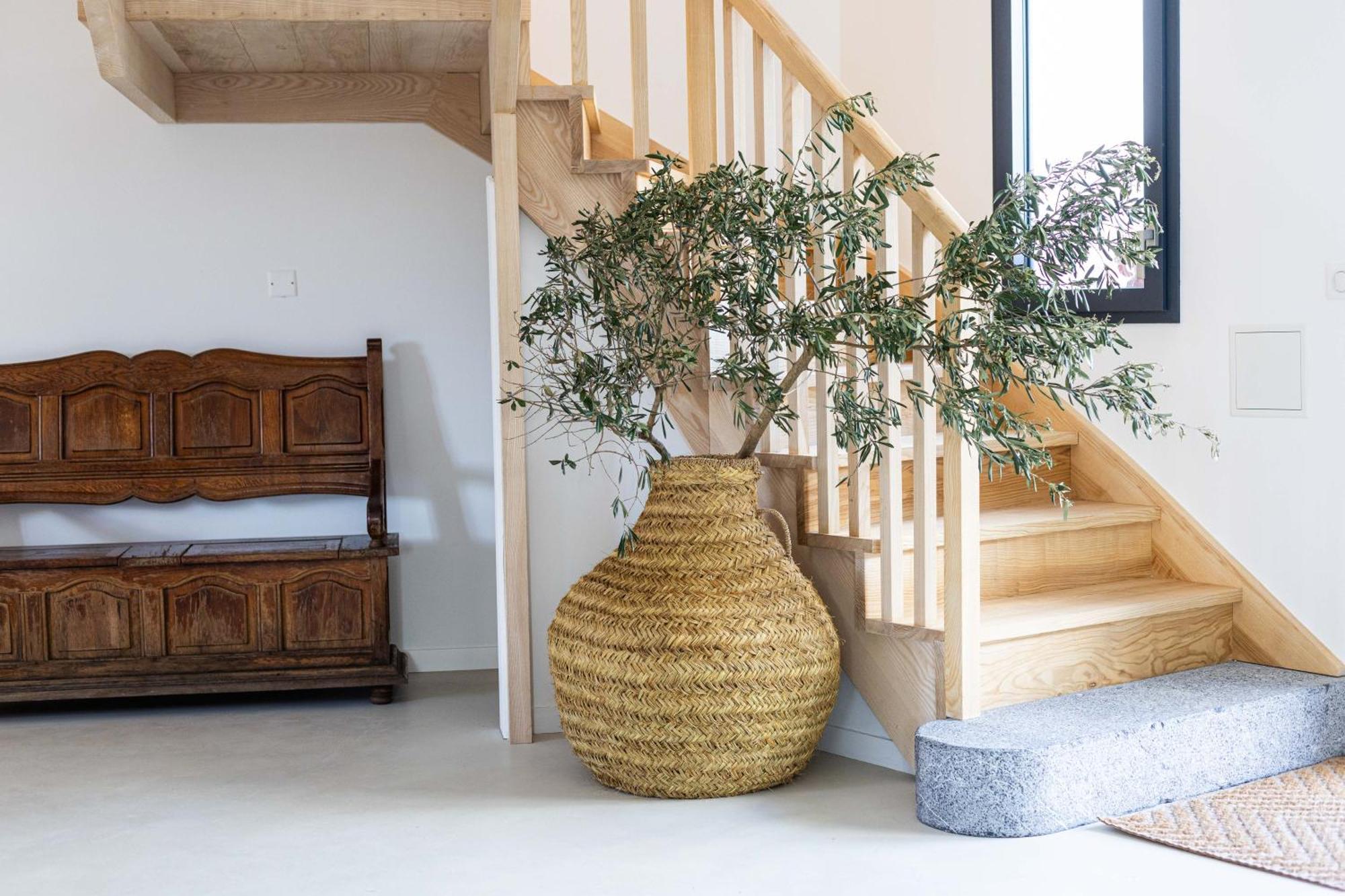 Biarritz Surf Lodge Chambre D'Hotes エクステリア 写真